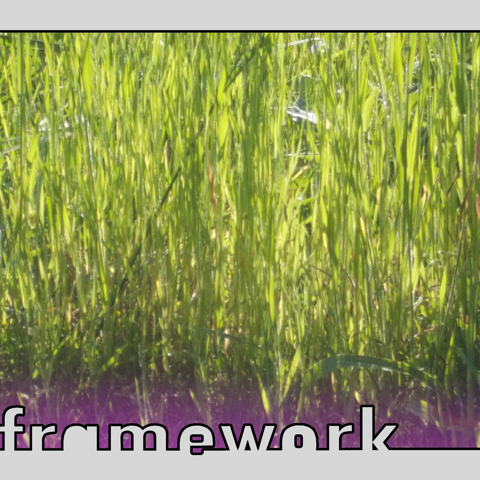 Current episode of Framework Radio